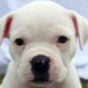 Meet your Posher, Kailey